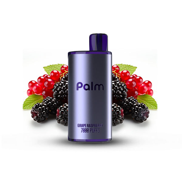 Pop Hit Palm Grape Rspberry 7000 Puffs